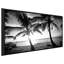 BW Bimini Sunset par Susan Bryant - photographie-64741924-64741925