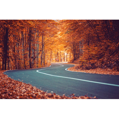 Autumn Trees 1 Piece Wrapped Canvas Wall Art