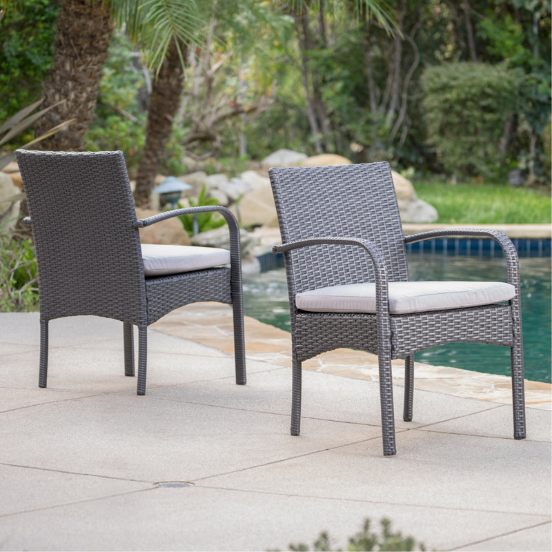 2 chaises d'extérieur - Gris, PE et coussin de salle à manger gris avec coussins d'eau amovibles, structure en fer de résine