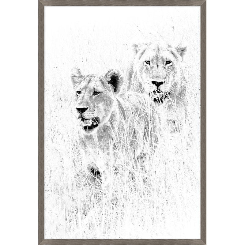 Wild Calling 3 Print by Thom Filicia