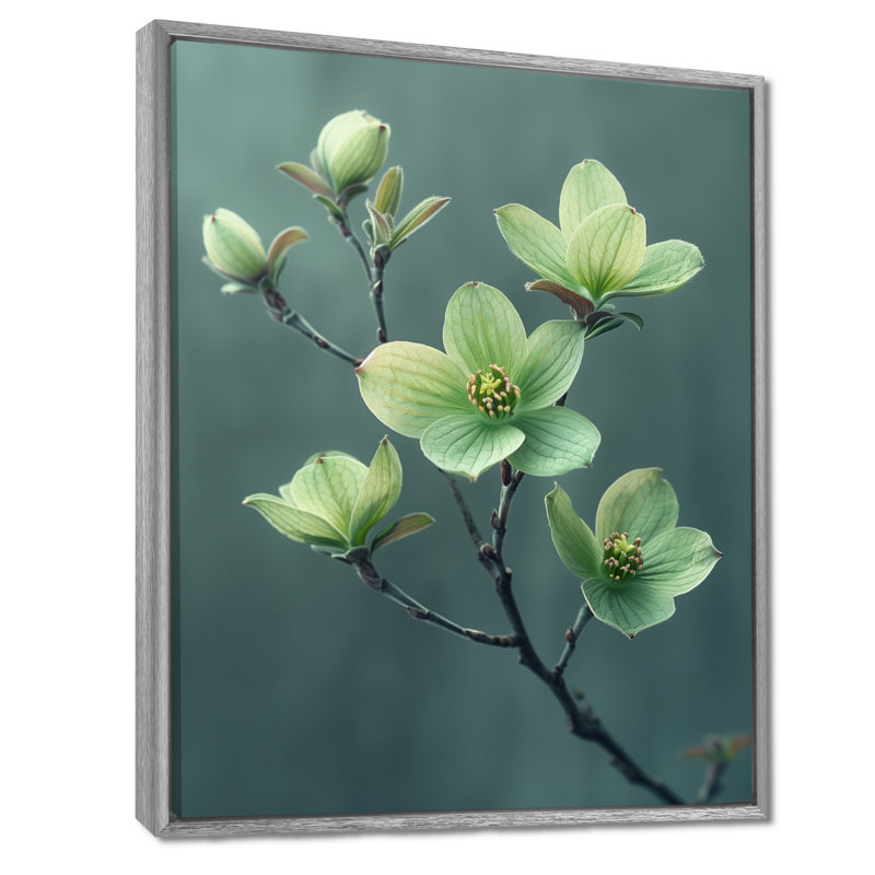 Photo hivernale de cornouiller monochrome vert gris - Cornouiller, Toile argentée avec cadre flottant