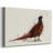 Pheasant Splash 4-Gallery Wrapped Canvas-112391298