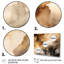 Brun et crème - Fluidité abstraite - art mural abstrait-409767430-409767431