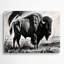 Faune, bison américain, art mural en métal gris-2043203716