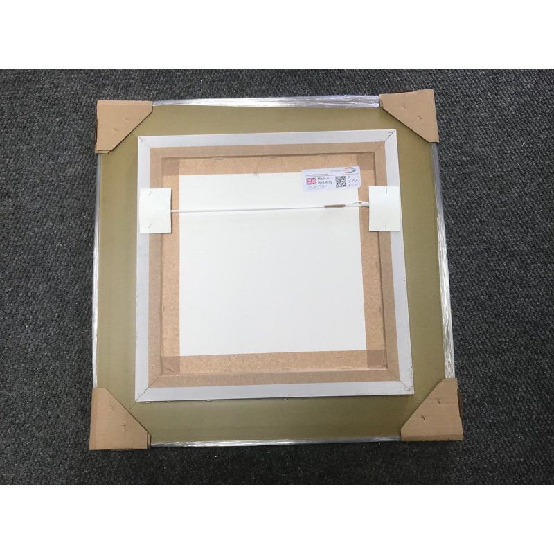 Rainbow Zebras I - Single Picture Frame Print