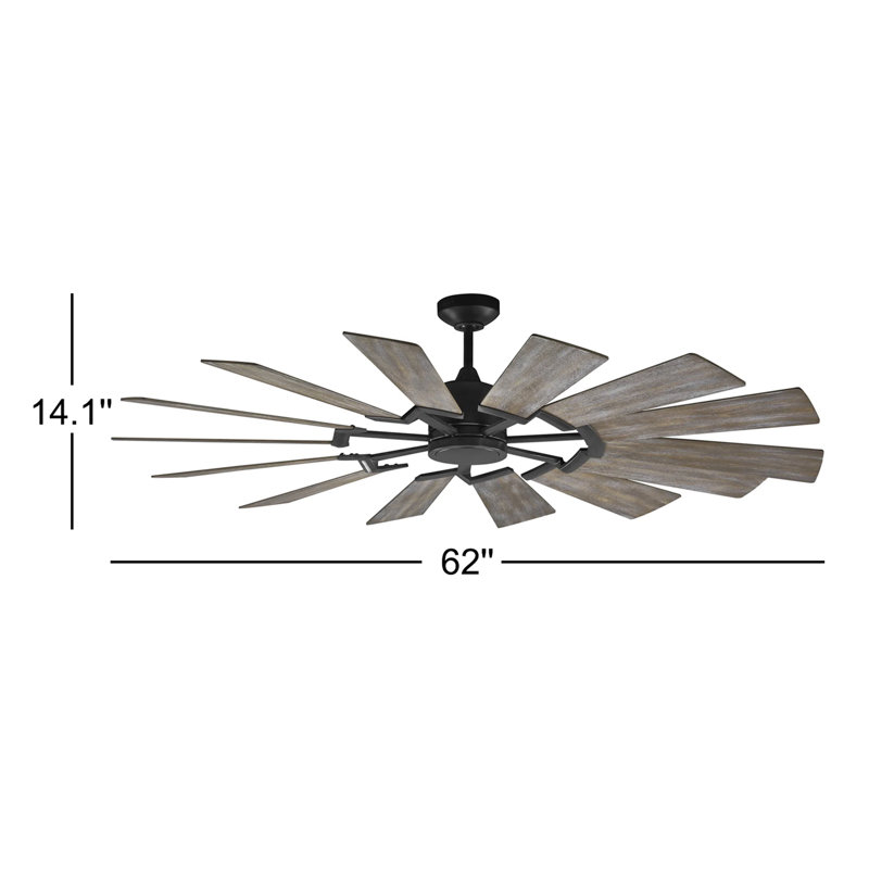 Elainea 62'' Ceiling Fan with LED Lights, 62 inches, Aged Pewter with Light Grey Weathered Oak Blades