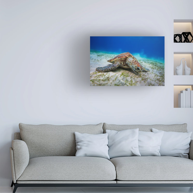 Art sur toile, tortue verte Barathieu, H 12 po x l 19 po