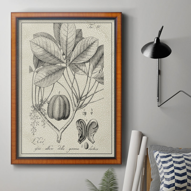 Toile encadrée botanique antique noire et blanche de qualité supérieure - prête à être accrochée, H 36 po x l 24 po