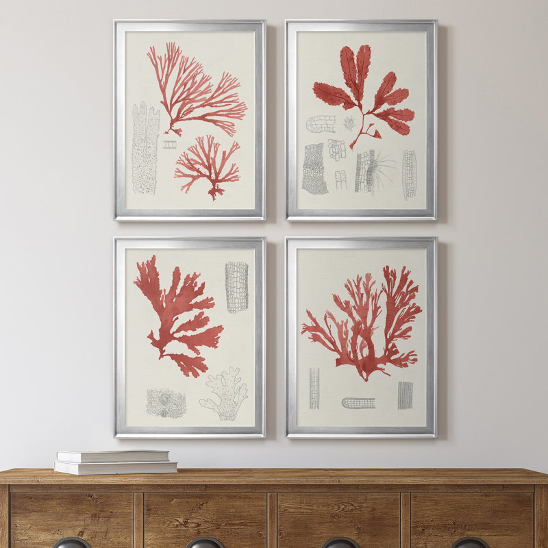 «Vintage Coral Study I», toile encadrée de qualité supérieure - prête à être accrochée, H 36,5 po x l 106 po x P 1 po