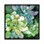 «Summer Succulents» par Conrad Knutsen, impression sur toile tendue sur châssis-31293018-73215345-73215346
