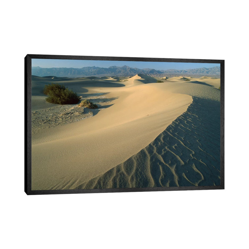 Mesquite Flat Sand Dunes, Death Valley National Park, California IV by Tim Fitzharris - Gallery-Wrapped Canvas Giclée on Canvas