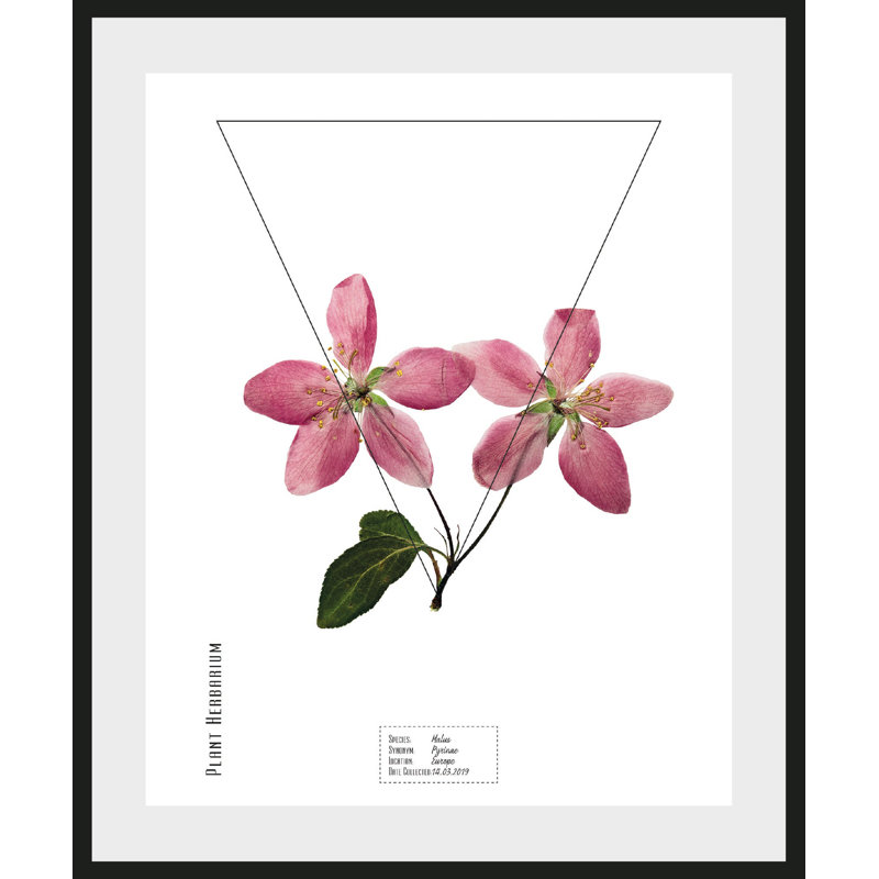 Plant - Single Picture Frame Print