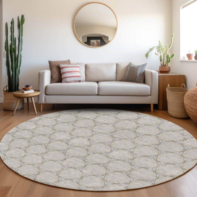 Premium Machine Washable Prisco Gray Rug, Round 8'