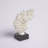 Ruiz Landscape & Nature Figurines & Sculptures