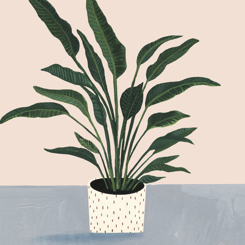 «Houseplant IV», peinture sur toile tendue, H 12 po x l 12 po