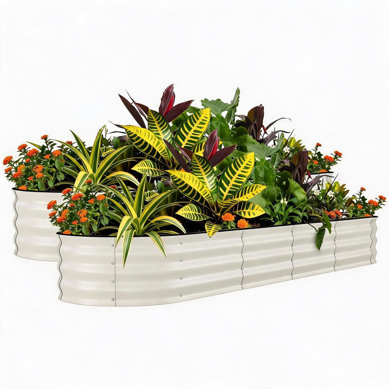Ensemble de 2 lits de jardin surélevés galvanisés - boîte à fleurs de 8 x 2 x 1,5 pi pour légumes, fleurs, boîte de jardin résistante à la rouille, lits surélevés faciles à assembler, jardinières durables pour plantes d'extérieur, beige