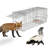 Humane Animal Trap Cage