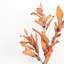 Branches de feuilles de pamplemousse 38 po