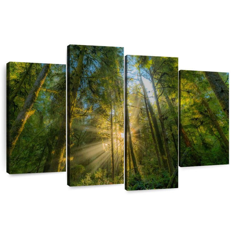 Kerrick Jedediah Smith Redwood Forest, 54" H x 84" W