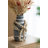 Yinn Ceramic Table Vase
