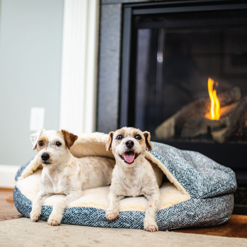 Lit pour chien Snoozer Premium Mircosuede, Indigo Palmer, Petit (l 25 po x P 25 po x H 8 po)