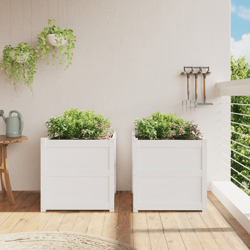 Briceidy Wood Planter Box, White