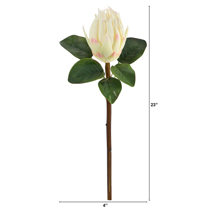Protea Arrangement, White