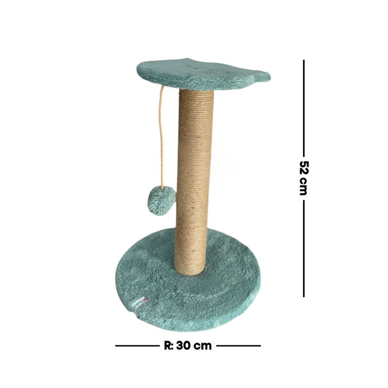 Grattoir pour chat, Turquoise