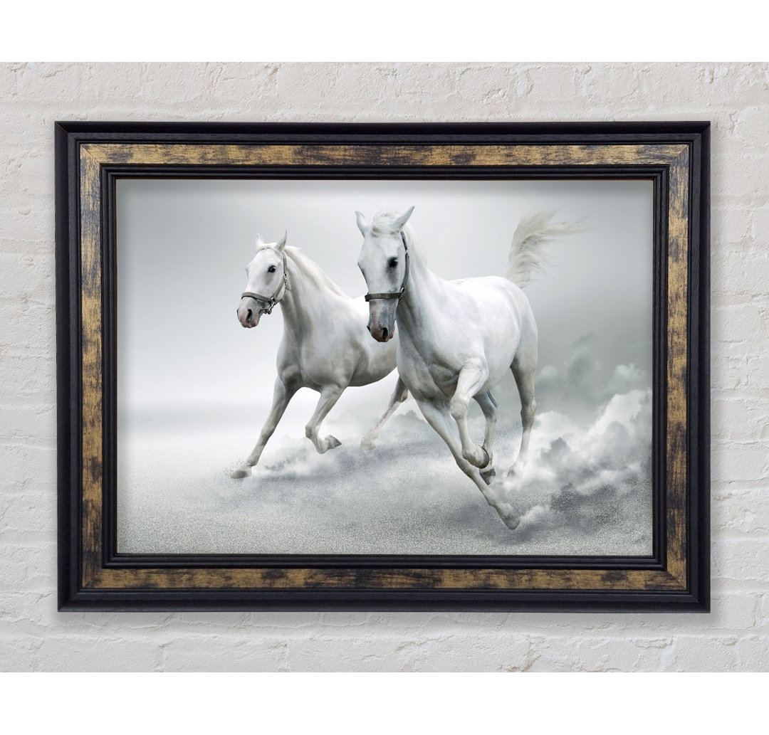 White Duo Horses - Einzelner Bilderrahmen Kunstdrucke