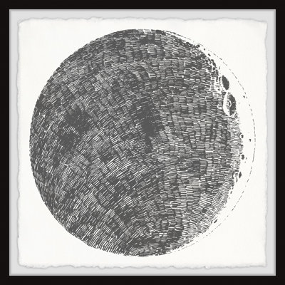 Parrott Print