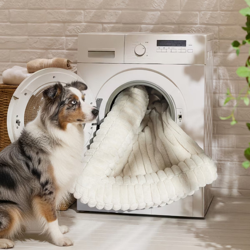 Canapé-lit orthopédique pour grands chiens Comoresfleece, Très grand (H 7 po x l 42 po x P 30 po), Crème