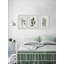 Trio de plantes-62885978