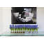 Orchids Centerpiece in Glass Planter-322954504-322954511