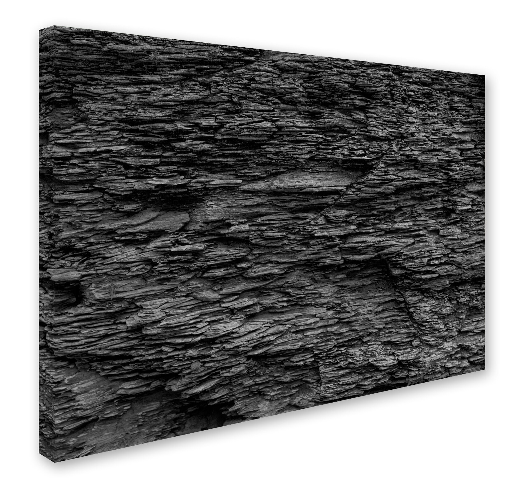 Latitude Run® Shale Abstract in Black and White Photographic Print on ...