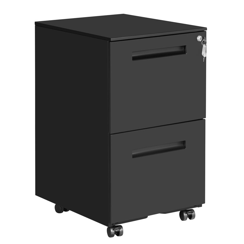 Mccreary 39cm Wide 2 -Drawer Mobile Steel File Cabinet, Matte Black