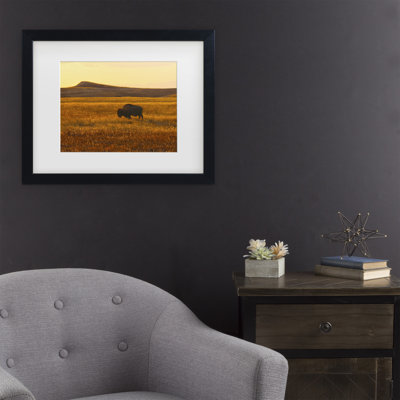 Art mural encadré - Décoration murale avec cadre matte «Where the Buffalo Roam» de Mitch Catanzaro - art du salon, de la cuisine et de la salle de bain - 16 x 20