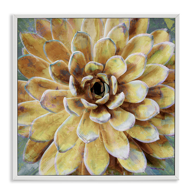 «Botanical Succulent Bloom», impression, Giclée encadrée blanc bord de mer, H 24 po x l 24 po