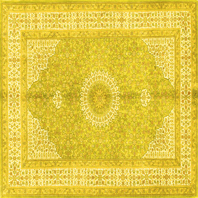 Mohandis Performance Oriental Indoor Rug