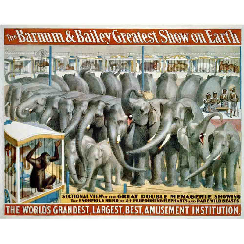 Adhésif décoratif éléphant Christin Barnum and Bailey 1895, H 28,5 po x l 36 po