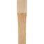 Attelle de genou Westlake-29310041-31230194-31230610