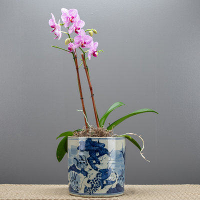 Handmade Ceramic Basin