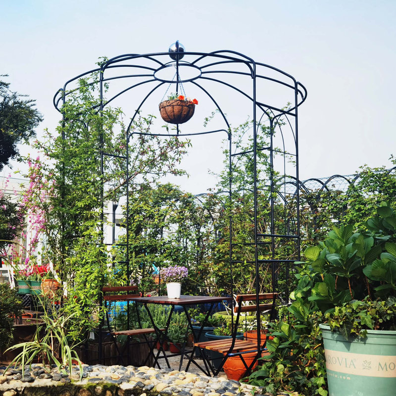 Minuka 114.08'' H x 81.18'' W Iron Arched Trellis, Black