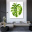 Art sur toile tendue Art Gallery, Popp, Grace: Monstera II-426468843