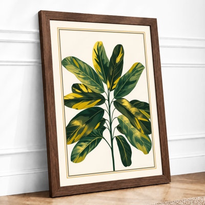 Variegated Specimen Botanical - Framed Print
