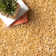 Schiavo Yellow Area Rug