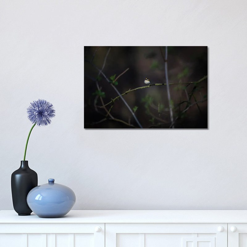 Glimmer by Mateusz Piesiak - Wrapped Canvas Print, 30.48 cm H x 45.72 cm W