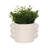 Pottery and Cement Planter with Unique Multi-Loop Handle Design Stylish Contemporary Accent-946573013-946573014
