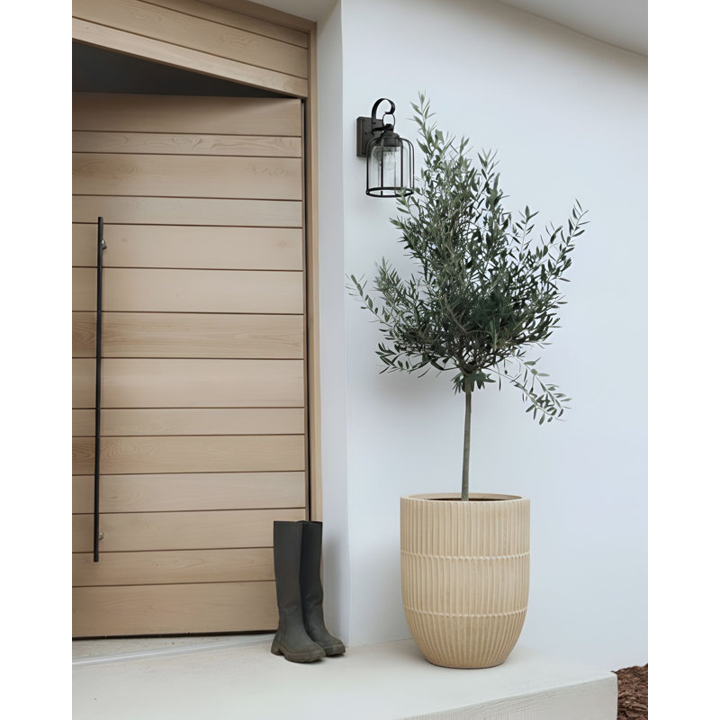 Pot Planter