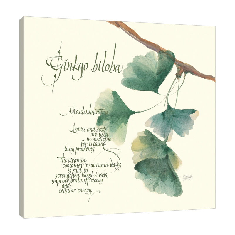"Ginkgo Biloba", toile tendue par Chris Paschke, H 30 po x l 30 po x P 1,5 po