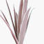 Gladolia Leaves Arrangement-1115947006